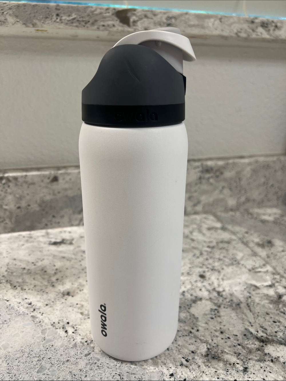 Owala 32oz Stainless FreeSip Water Bottle - Sleek White